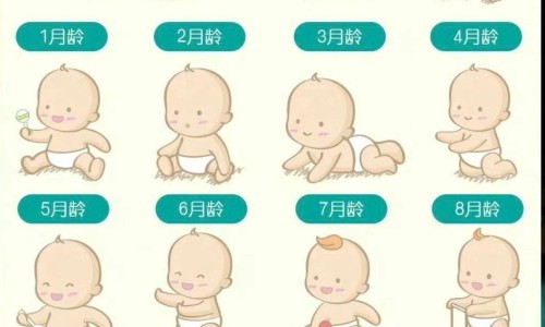 9天的婴儿吃多少毫升母乳正常-9天的婴儿吃多少毫升网 - 9天的婴儿吃多少毫升奶正常,9天的婴儿吃多少毫升奶正常